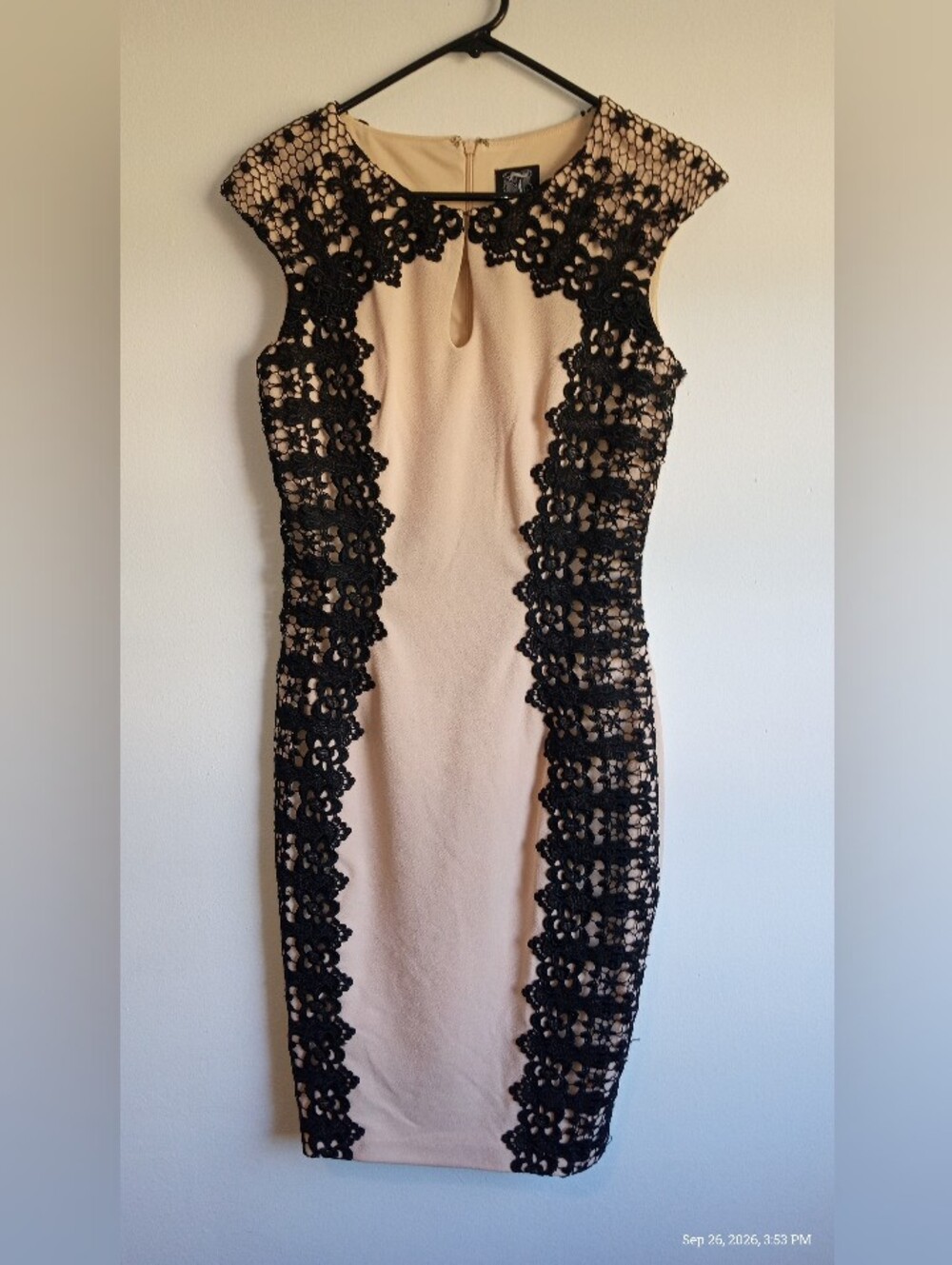 JAX Women's Beige and Black Lace Embroidered Sheath Dress